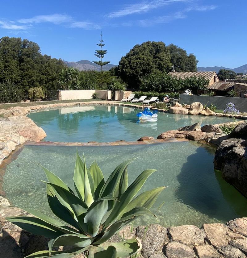 Maison Le Citronnier Avec Piscine - Domaine E Case Di Cuttoli Exterior foto
