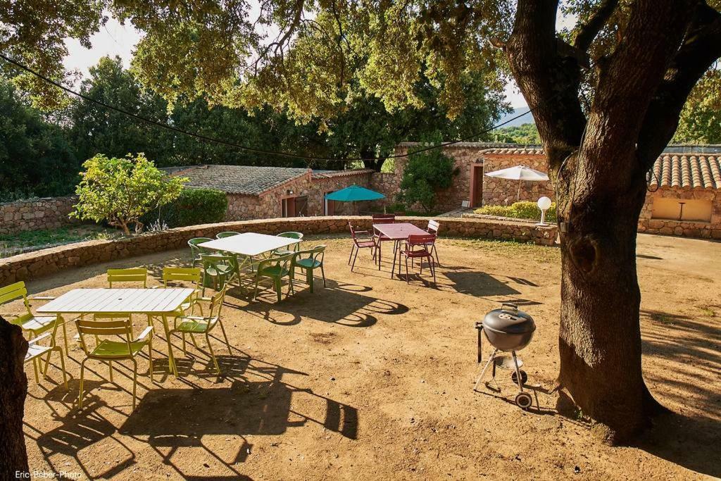 Maison Le Citronnier Avec Piscine - Domaine E Case Di Cuttoli Exterior foto